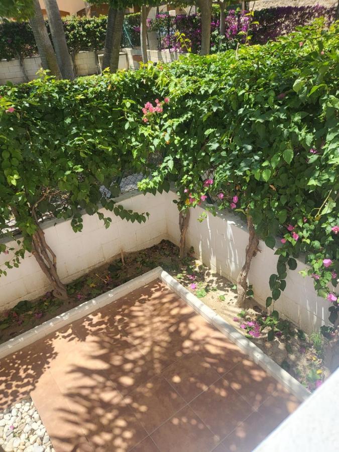 ¡Bajo Precioso Con Salida Directa A La Piscina Comunitaria En Paraiso De Vera! Exterior photo